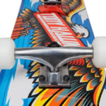 Tony-Hawk-Rula Wingspan1