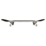 Tony-Hawk-Rula Wingspan2